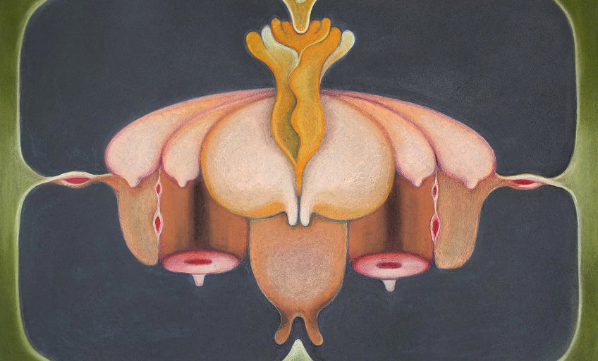 Flesh & the Fantasy