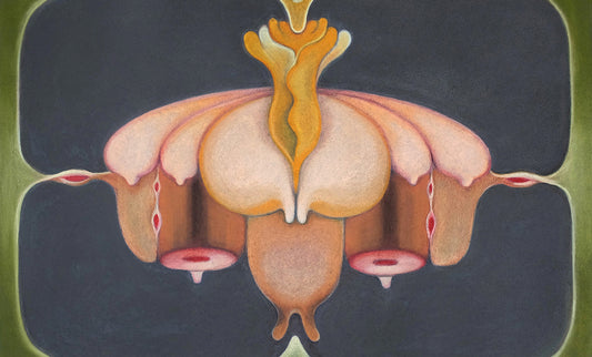 Flesh & the Fantasy
