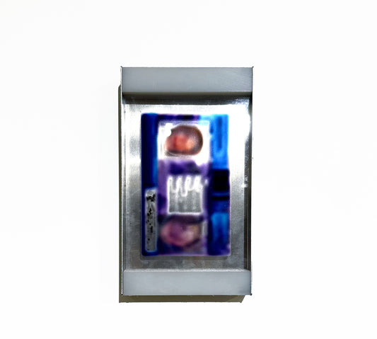 CASE 20 (ID)