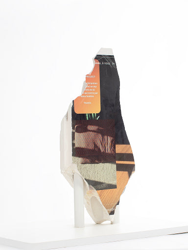 Ostracon Series (V)